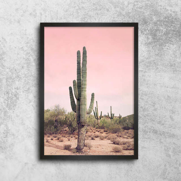 Affiche Cactus Désert