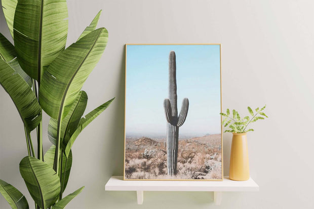 Affiche Cactus