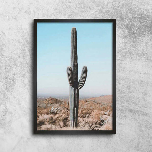 Décoration maison Affiche Cactus